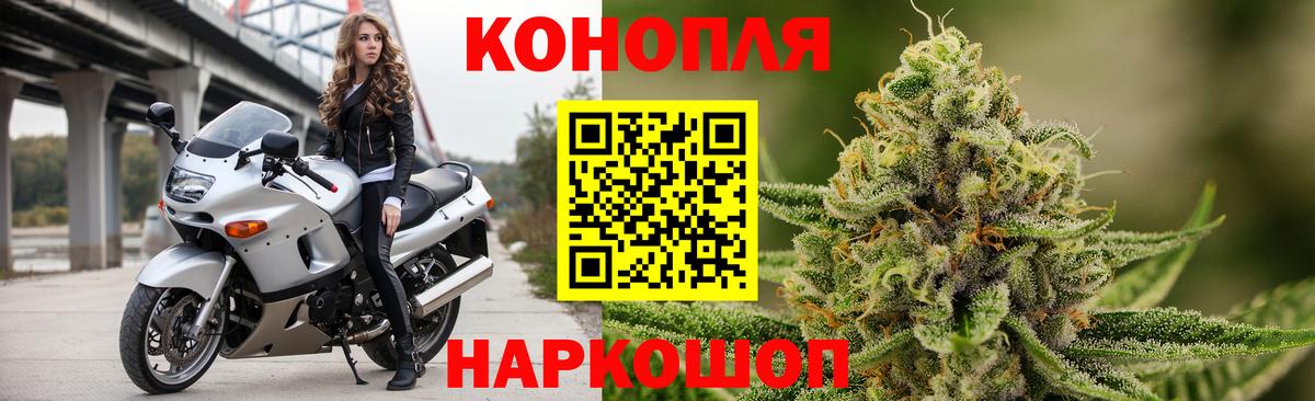 Канабис гибрид Сальск